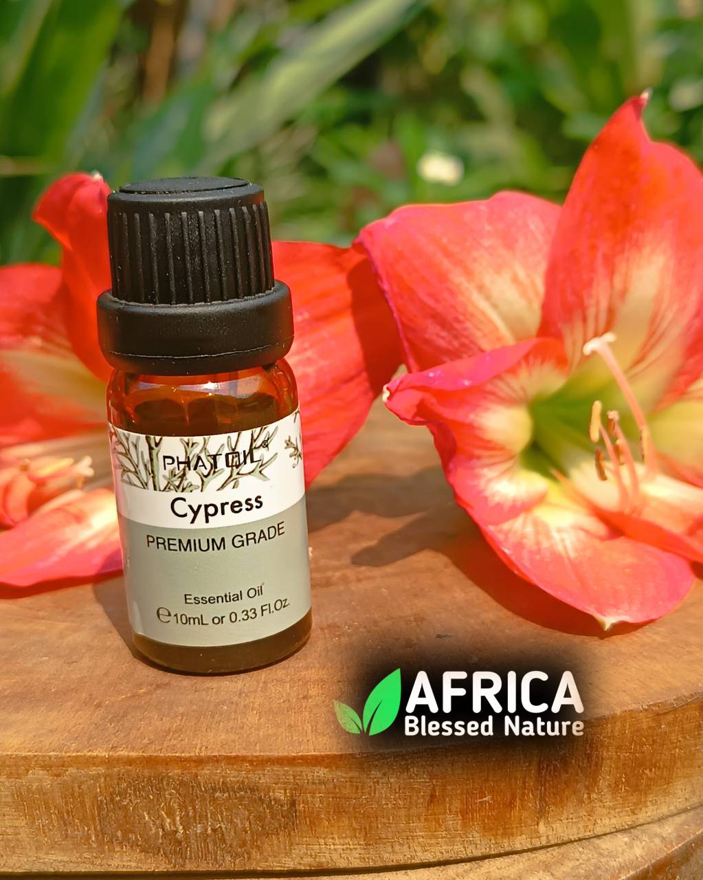 Oleo essencial de Cipreste