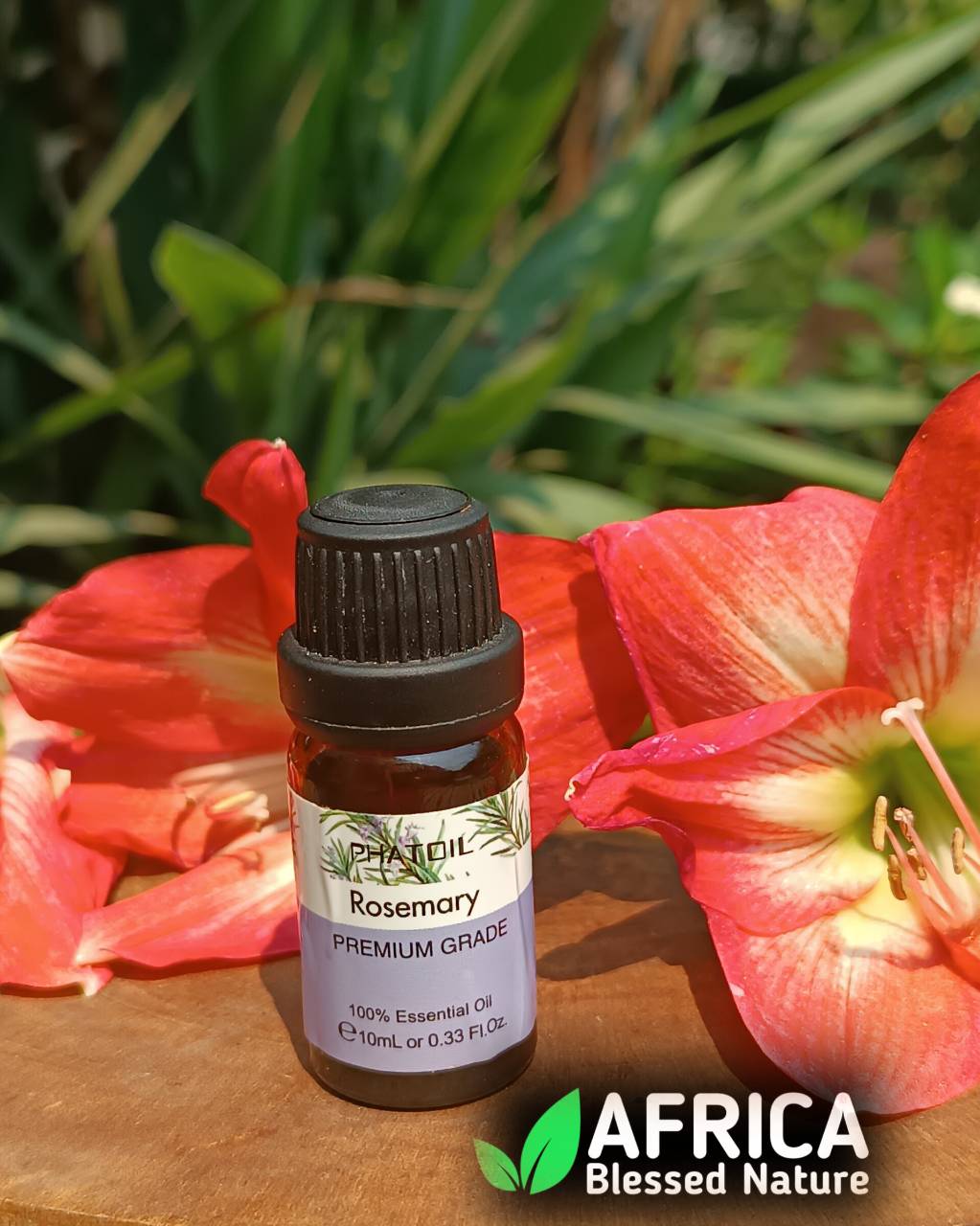 Oleo essencial de alecrim